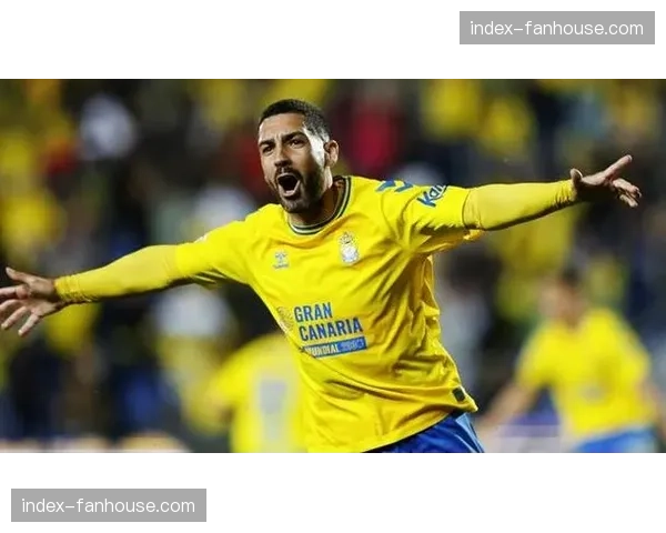 勒阿弗尔2-1图卢兹，保级关键战取重要三分