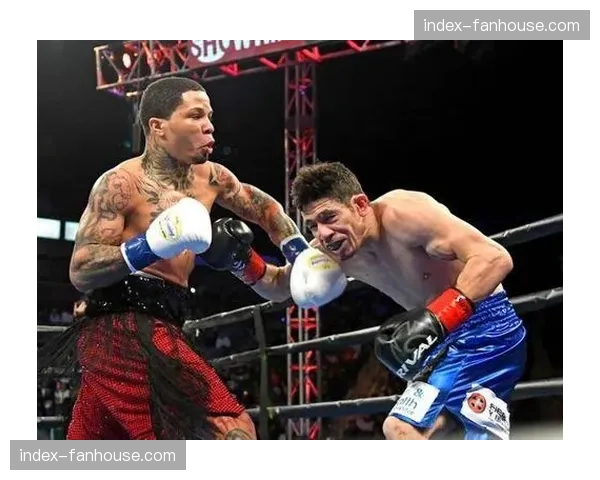 WBC下令，戴维斯与克鲁兹需在90天内就轻量级强制卫冕战进行谈判