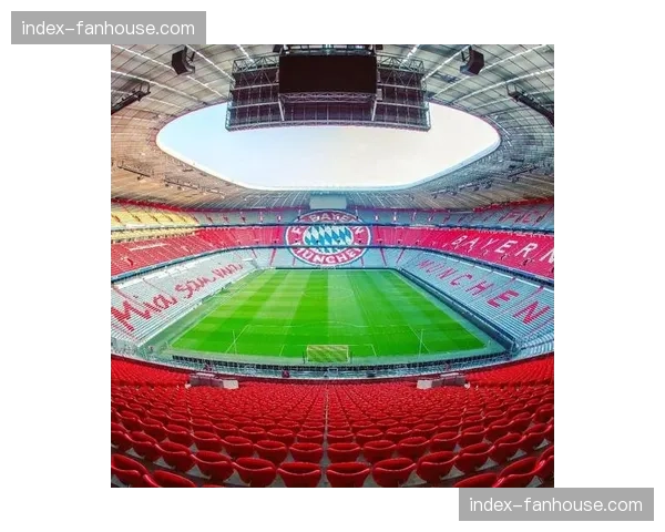 仅安联球场符合要求，意大利欧洲杯场馆建设进度滞后